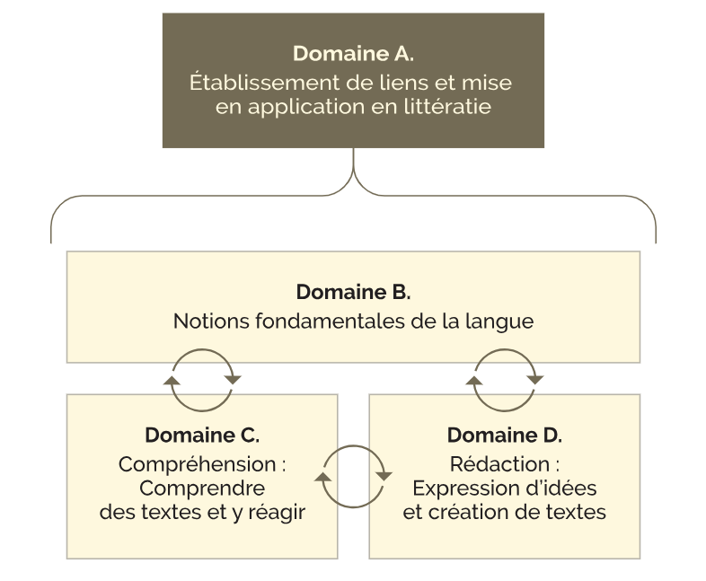 Domaines d’étude du programme-cadre de français A. Établissement de liens et mise en application en littératie B. Notions fondamentales de la langue C. Compréhension : Comprendre des textes et y réagir D. Rédaction : Expression d’idées et création de textes