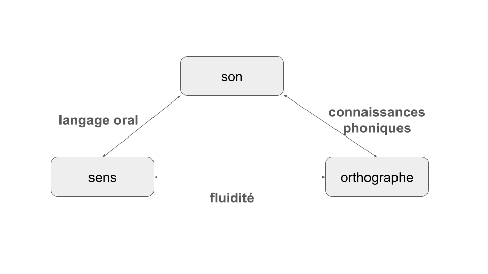 Son, sens, orthographe